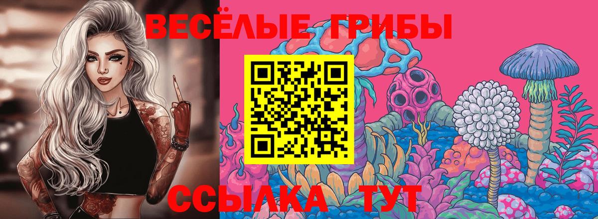 как найти закладки  Галлюциногенные грибы Psilocybine cubensis  Вход с VPN  Батайск  Псилоцибиновые грибы Psilocybe 